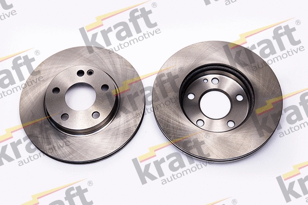 Brake Disc (6041216)