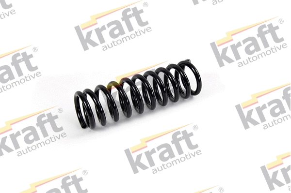 Suspension Spring (4031040)