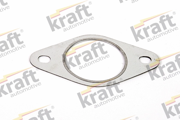 Gasket, exhaust pipe (0542020)