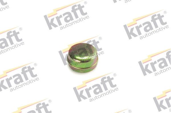 Protection Lid, wheel hub (0500250)