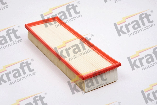 Air Filter (1714900)