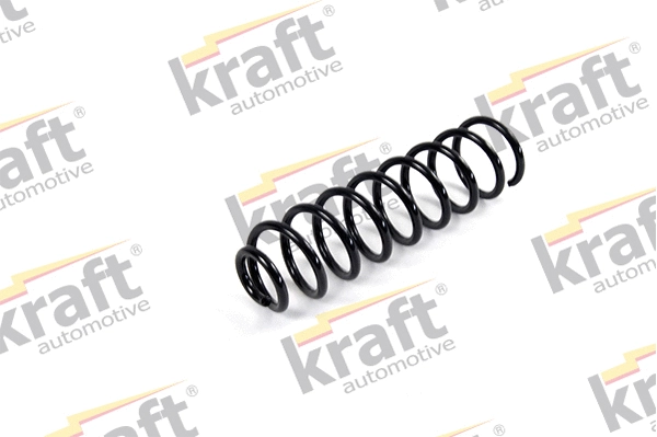 Suspension Spring (4035026)