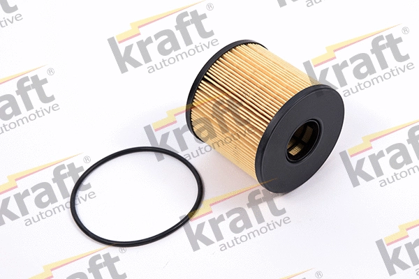 Oil Filter (1701800)
