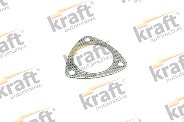 Gasket, exhaust pipe (0520230)