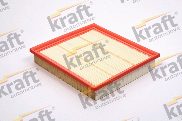 Air Filter (1712350)