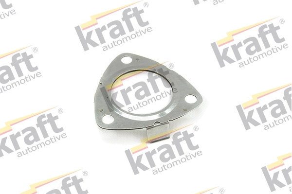 Gasket, exhaust pipe (0521555)