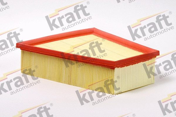Air Filter (1716515)