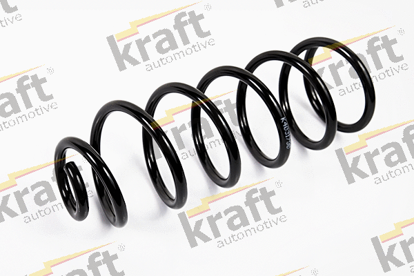 Suspension Spring (4031790)