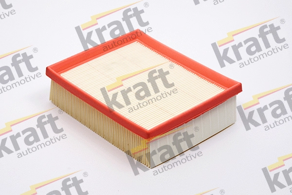 Air Filter (1715612)