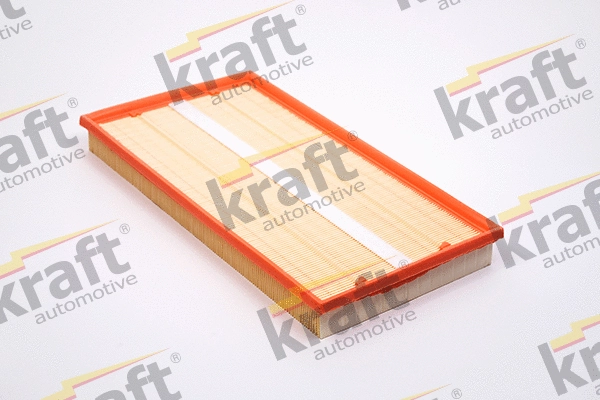 Air Filter (1711335)