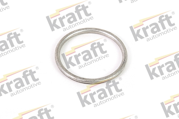 Seal Ring, exhaust pipe (0533550)