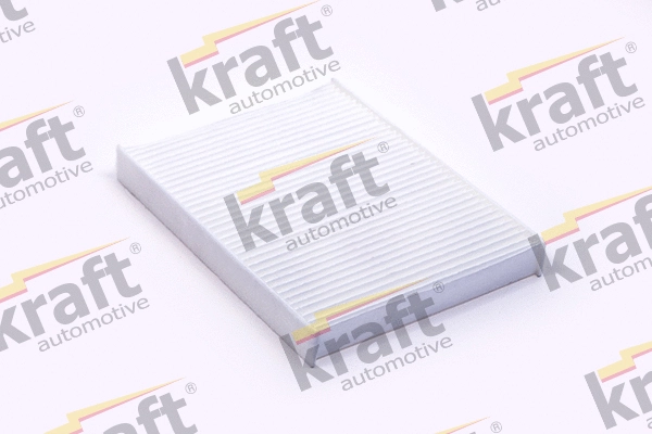 Filter, cabin air (1733017)