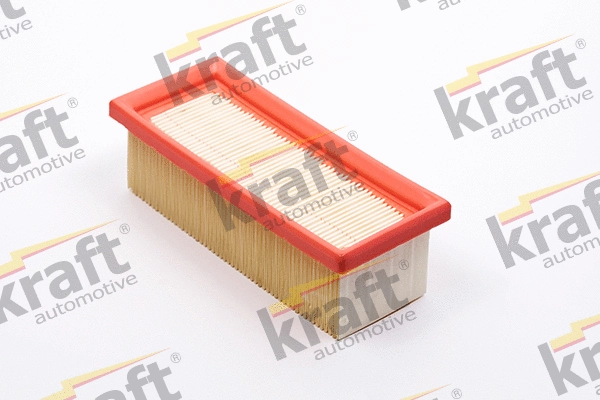 Air Filter (1715074)