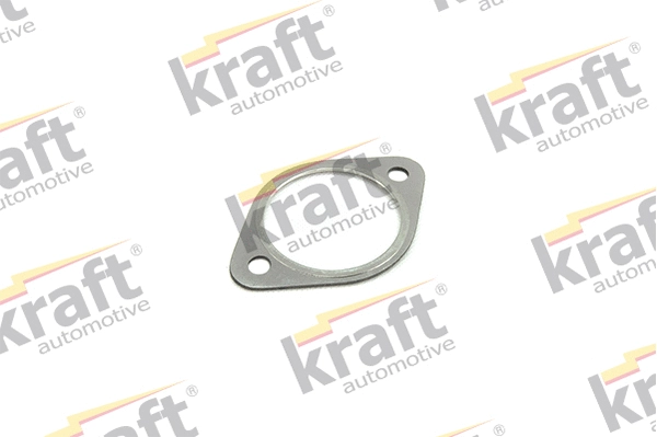 Gasket, exhaust pipe (0542080)