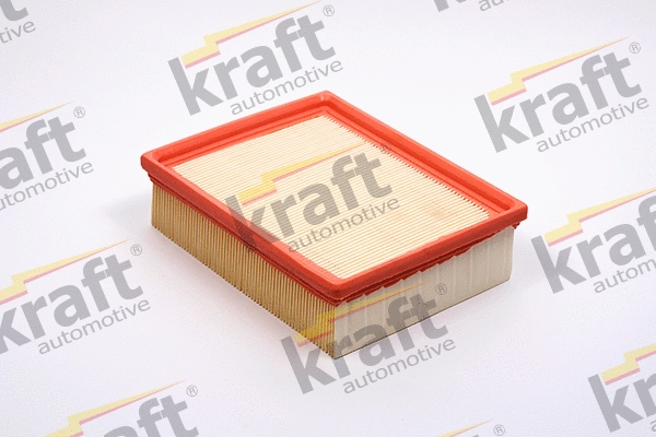 Air Filter (1711580)
