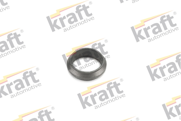 Seal Ring, exhaust pipe (0531000)