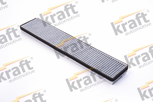 Filter, cabin air (1732151)