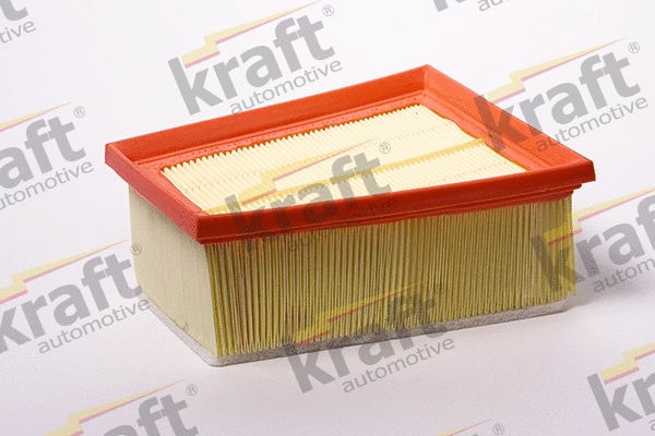 Air Filter (1715220)