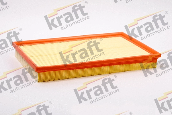 Air Filter (1711760)