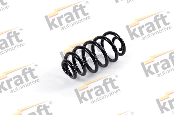 Suspension Spring (4030620)