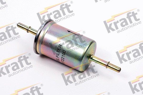 Fuel Filter (1722100)