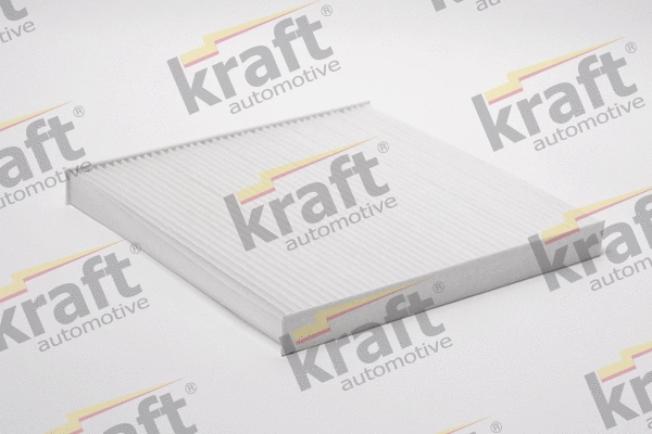 Filter, cabin air (1735925)
