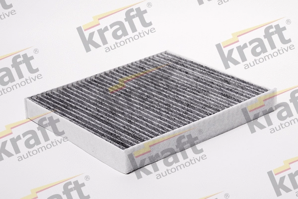 Filter, cabin air (1736512)