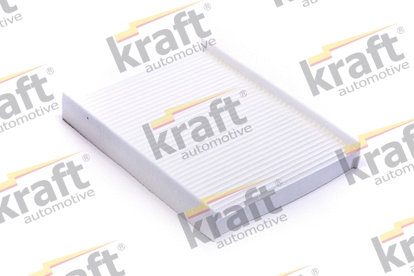 Filter, cabin air (1733201)