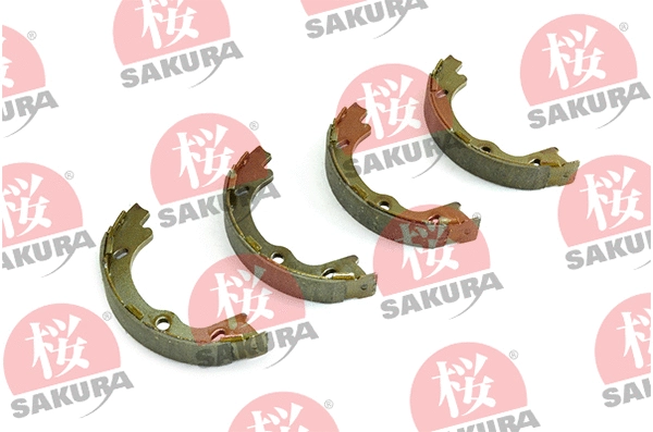 Brake Shoe Set, parking brake (602-03-4603)