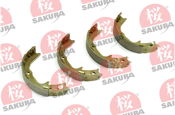 Brake Shoe Set, parking brake (602-50-4255)
