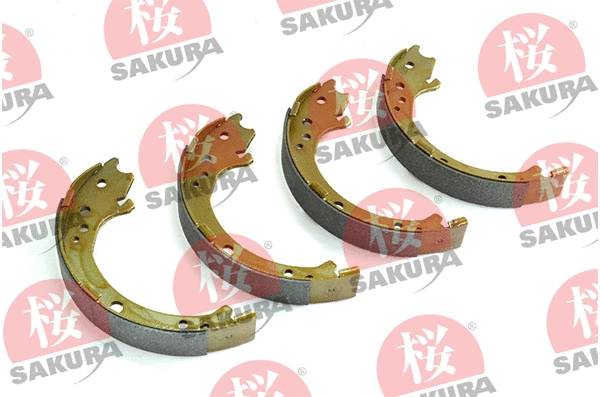 Brake Shoe Set, parking brake (602-00-6600)