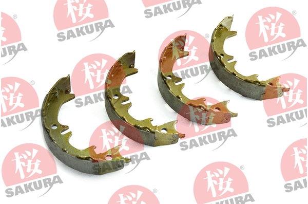 Brake Shoe Set, parking brake (602-20-3890)