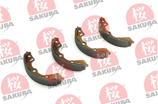 Brake Shoe Set (602-03-8885)