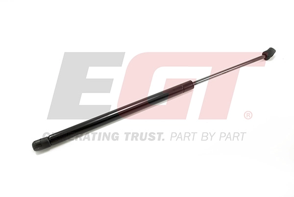 Gas Spring, boot/cargo area (510207EGT)