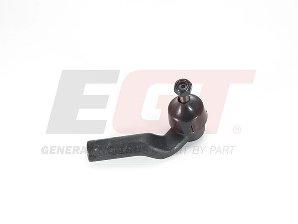 Tie Rod End (301995EGT)