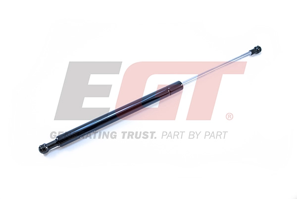 Gas Spring, boot/cargo area (510092EGT)
