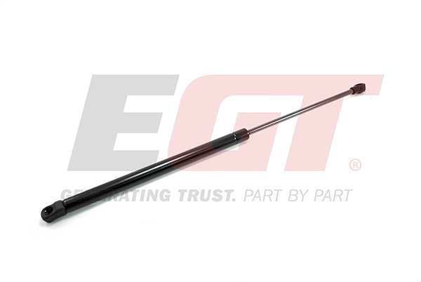 Gas Spring, boot/cargo area (510075EGT)