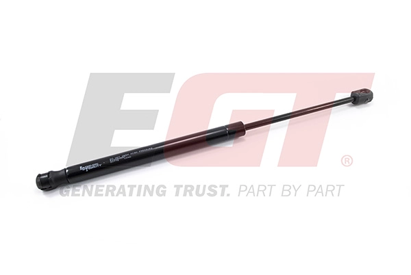 Gas Spring, boot/cargo area (510020EGT)