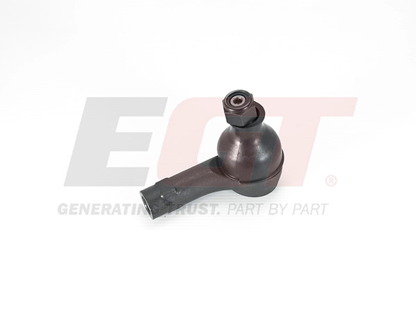 Tie Rod End (301989EGT)
