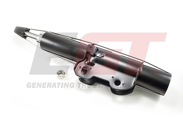 Shock Absorber (373428EGT)