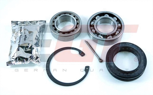 Wheel Bearing Kit (554300EGTk)