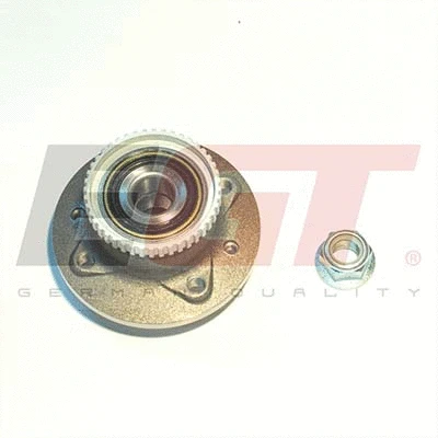 Wheel Bearing Kit (554209EGTk)
