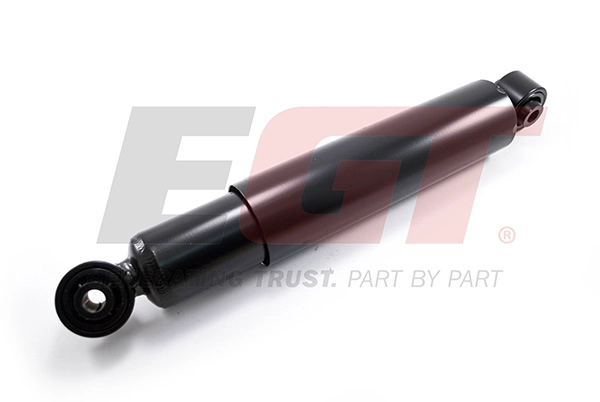 Shock Absorber (383713EGT)