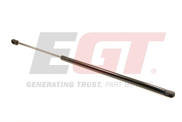 Gas Spring, boot/cargo area (510073EGT)