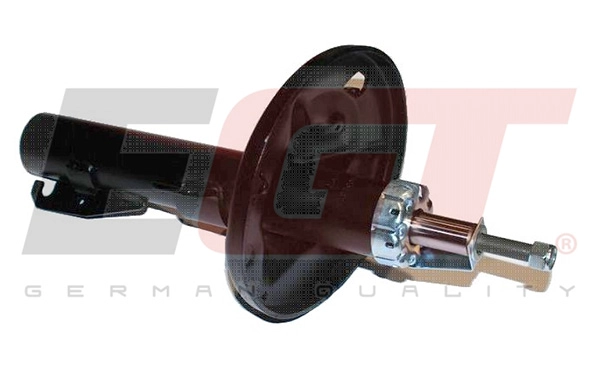 Shock Absorber (383306EGT)