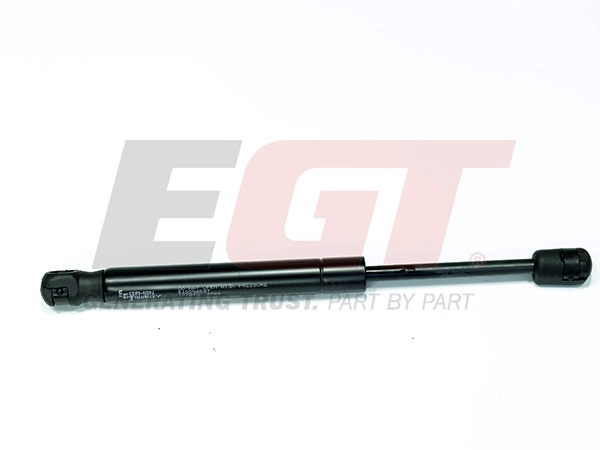 Gas Spring, boot/cargo area (510046EGT)