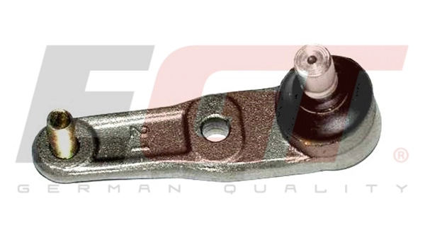 Ball Joint (101001EGT)
