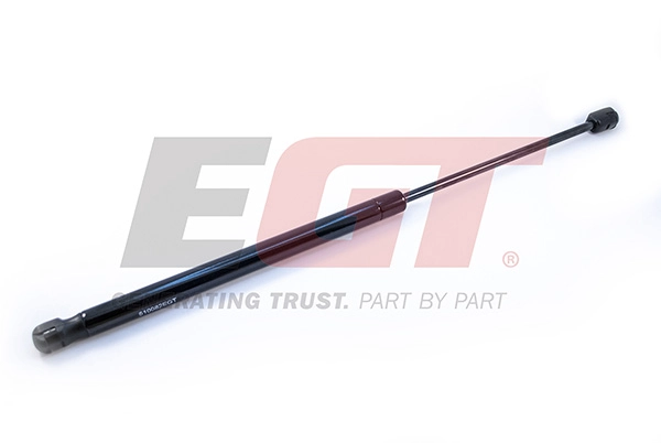 Gas Spring, boot/cargo area (510082EGT)