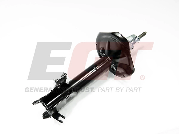 Shock Absorber (383376EGT)