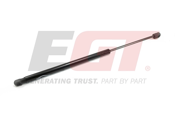 Gas Spring, boot/cargo area (510089EGT)